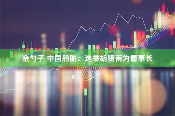 金勺子 中国船舶：选举胡贤甫为董事长