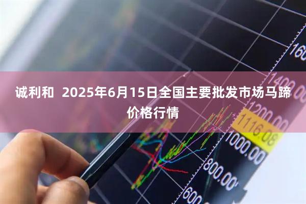 诚利和  2025年6月15日全国主要批发市场马蹄价格行情