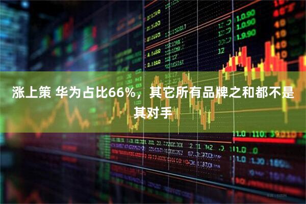 涨上策 华为占比66%，其它所有品牌之和都不是其对手