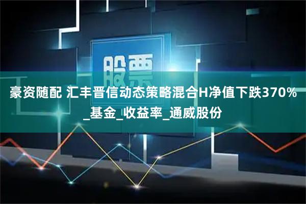 豪资随配 汇丰晋信动态策略混合H净值下跌370%_基金_收益率_通威股份